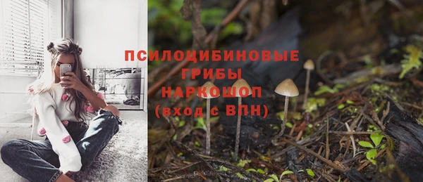 скорость Алзамай