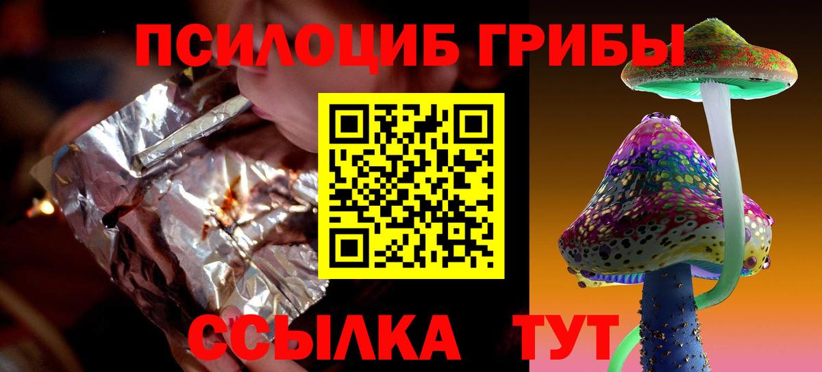 Кинель  Псилоцибиновые грибы MAGIC MUSHROOMS  Вход с VPN  Псилоцибиновые грибы GOLDEN TEACHER 