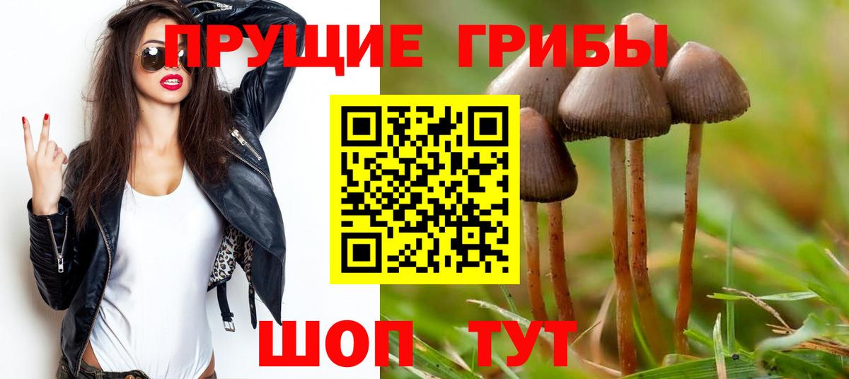 Галлюциногенные грибы прущие грибы Кинель